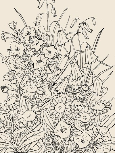  av Catalina Somolinos