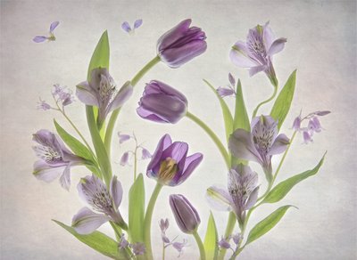 Myke lilla blomster av Catherine Wang