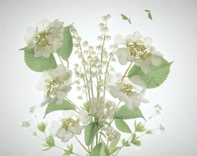Bukett fra White Lily Valley av Catherine Wang