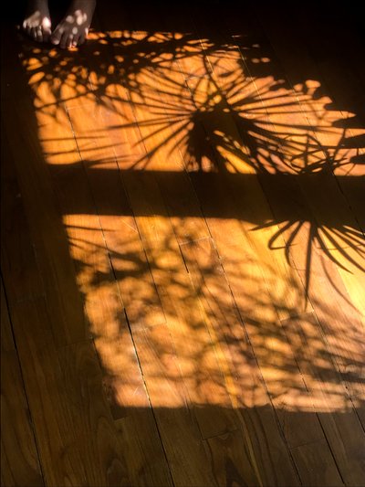 Komposisjon - Skygger, 2019 (foto) av Cécile Jamet