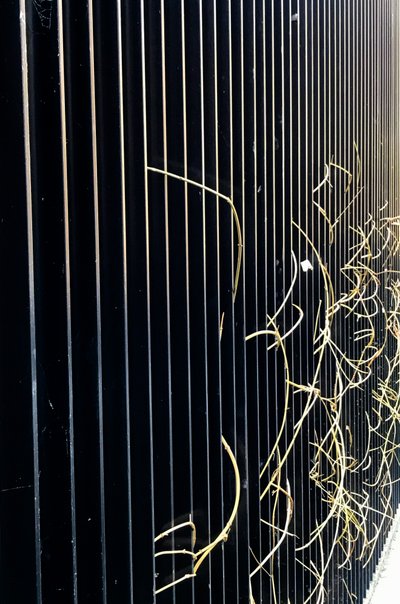 Komposisjon - Gate, 2020 (foto) av Cécile Jamet