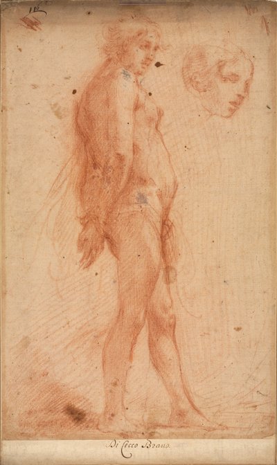 Studie av en stående mannlig naken, med en studie av hode i trekvartsprofil, ca. 1640. av Cecco Bravo