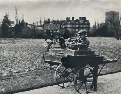 Poteter i Kew Gardens, 1941 av Cecil Beaton