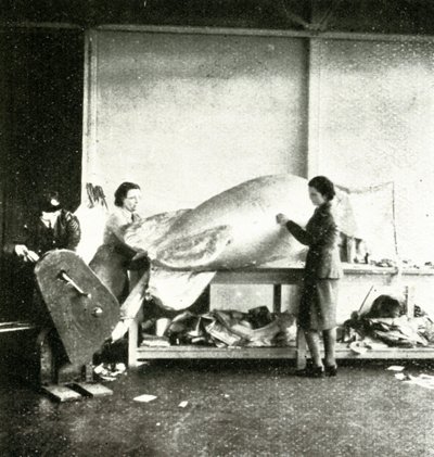 Reparasjon av sperreballonger, c1943. av Cecil Beaton