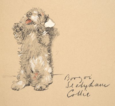 Sealyham, 1930, illustrasjoner fra skisseboken hans brukt for Just Among Friends, senere utgitt av Eyre og Spottiswoode Limited, 1934 (kritt og kull på papir) av Cecil Charles Windsor Aldin