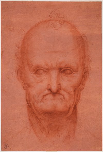 Leder av gammel mann, ca. 1515 (blod på forberedt rødt papir) av Cesare da attr.to Sesto