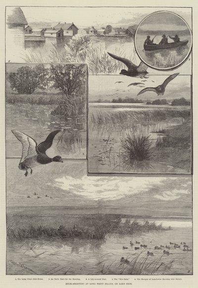 Andeskyting på Long Point Island, ved Lake Erie (gravering) av Charles (after) Whymper