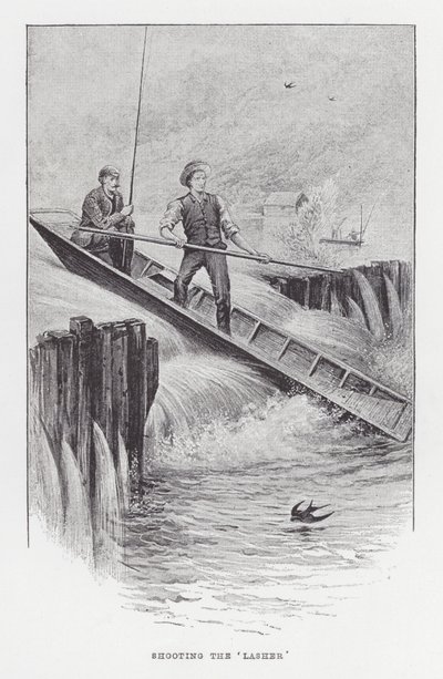 Fiske: Skyting av 'Lasher' (litho) av Charles (after) Whymper