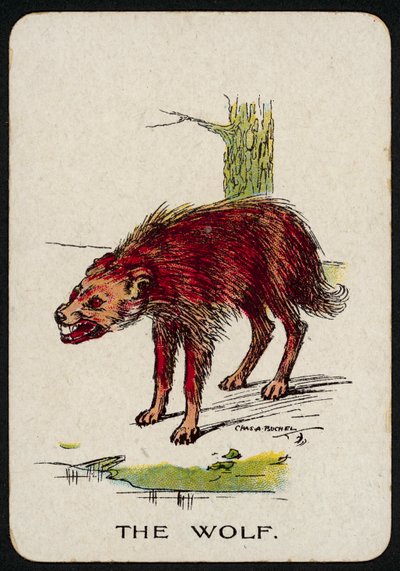 The Wolf (farge litho) av Charles A. Buchel