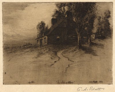 En gammel nybygger av Charles A. Platt