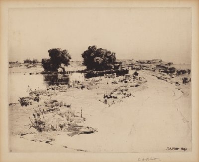 Cape Ann Willows av Charles A. Platt