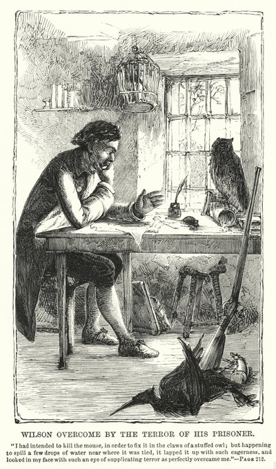 Wilson overvunnet av frykten til fangen hans (gravering) av Charles Altamont Doyle