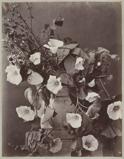 Blomsterstudie med Kölnerkrukke av Charles Aubry (manner of)