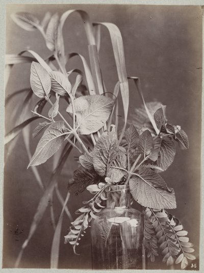 Blomsterstudie med glassflaske av Charles Aubry (manner of)