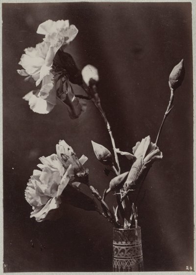 Blomsterstudie med glassvase av Charles Aubry (manner of)