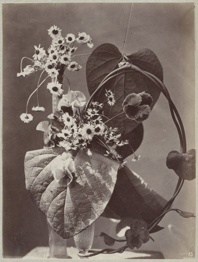 Blomsterstudie med glassvaser av Charles Aubry (manner of)
