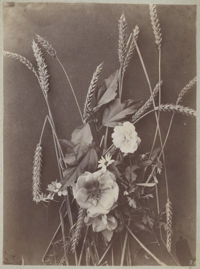 Blomsterstudie med kornaks av Charles Aubry (manner of)