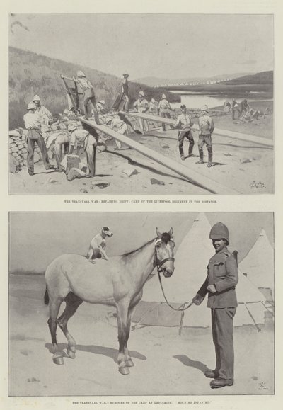 Transvaal-krigen av Charles Auguste Loye
