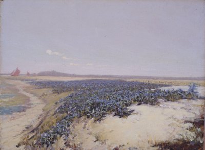 Blomsterdekkede sanddyner (olje på lerret) av Charles Augustus Lasar