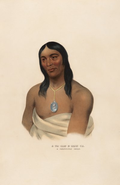  av Charles Bird King