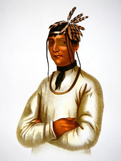 Caatousee av Chippewa Tribe (farge litho) av Charles Bird King