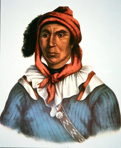 Julcee Mathla av Charles Bird King