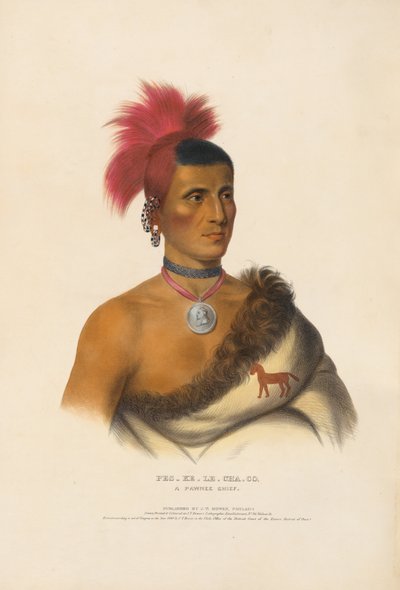  av Charles Bird King