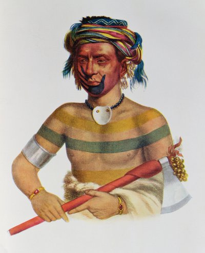 Shau-Hau-Napo-Tinia, en Iowa-sjef, 1837, illustrasjon fra 