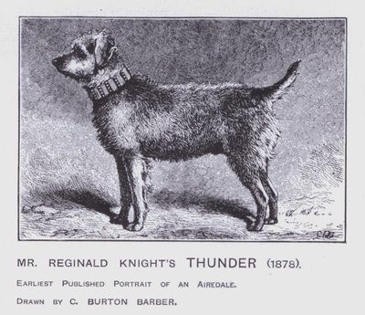 Mr Reginald Knight's Thunder av Charles Burton (after) Barber