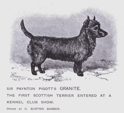 Sir Paynton Pigotts granitt (litho) av Charles Burton (after) Barber