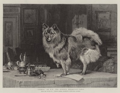 Marco på HM Dronningens frokostbord av Charles Burton