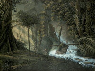 Brasiliansk skog av Charles Comte de Clarac