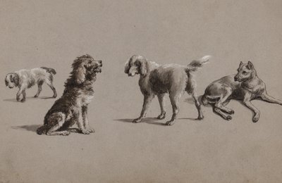 Studier av hunder (penn, pensel, blekk og gouache på papir) av Charles Cooper Henderson