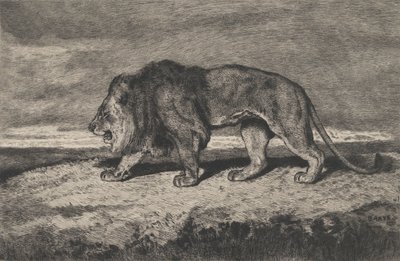 Løvevandring, 1866-1897. av Charles Courtry