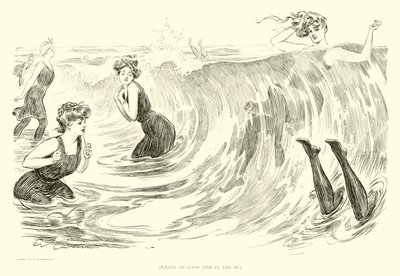 Illustrasjon for The Social Ladder (gravering) av Charles Dana Gibson