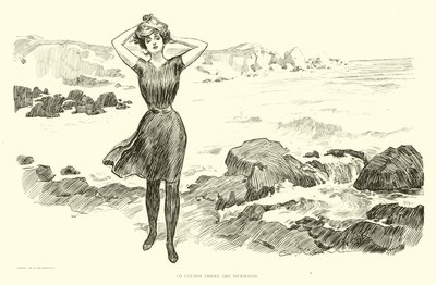 Illustrasjon for The Social Ladder av Charles Dana Gibson