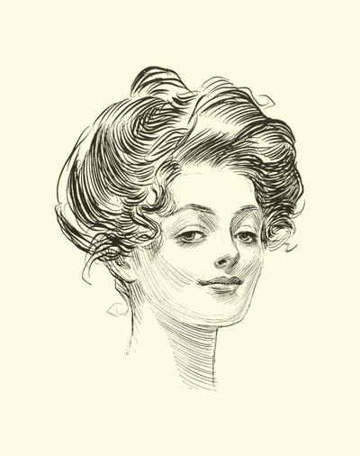 Illustrasjon for The Social Ladder av Charles Dana Gibson