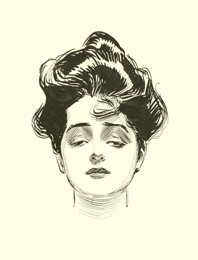 Illustrasjon for The Social Ladder av Charles Dana Gibson