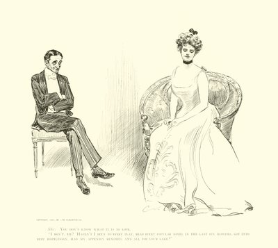 Illustrasjon for The Social Ladder av Charles Dana Gibson