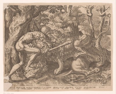 Hercules holder Nemean-løven i et kvelertak Labours of Hercules etter Frans Floris (serietittel) av Charles David