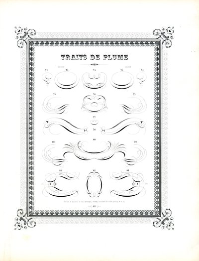 Storformat kalligrafisk penn blomstrer (trykk) av Charles Derriey