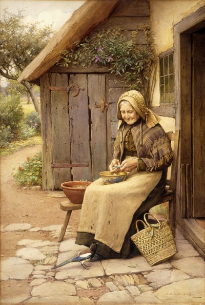 En finfjæret venn (w/c på papir) av Charles Edward Wilson
