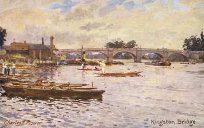  av Charles Edwin Flower