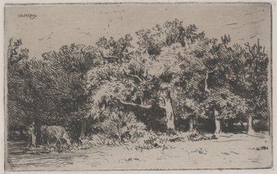 Et hjørne av Fontainebleau-skogen (radering) av Charles Emile Jacque