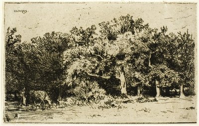 En del av Fontainebleau-skogen av Charles Emile Jacque