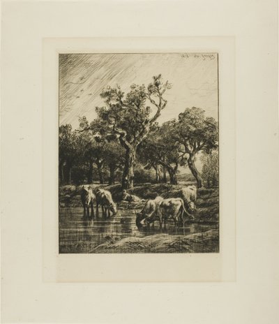 Kyr på et vanningssted av Charles Emile Jacque