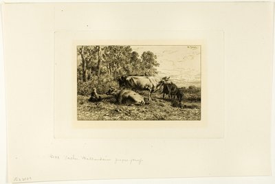 nederlandske kyr av Charles Emile Jacque