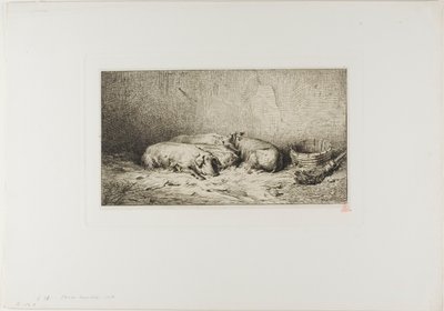 Fire sovende griser av Charles Emile Jacque