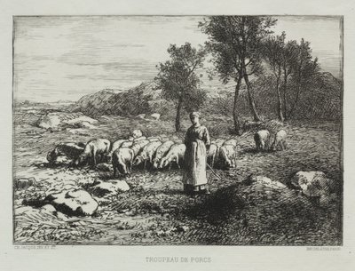 Svineflokk av Charles Emile Jacque