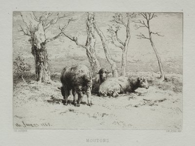 Sau, 1868. av Charles Emile Jacque